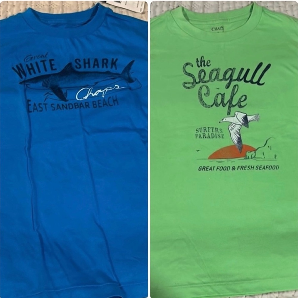 NWT 2 Chaps Classic Blue and Green T-Shirt